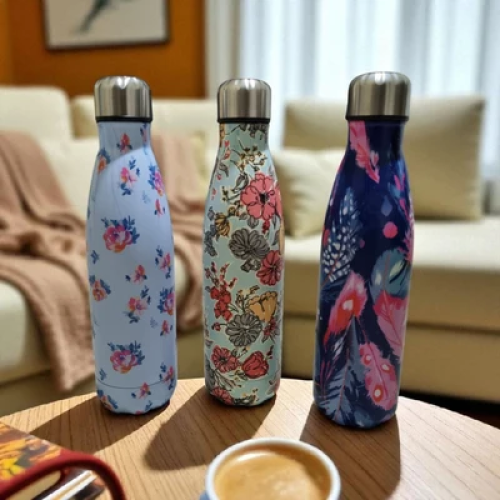 Spring Series Stainless Steel Water Bottle (500ml)